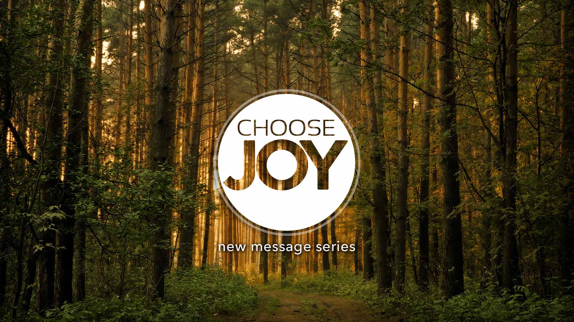 Choose t. Joy Series. Choose Joy перевод. Серая футболка today i choose Joy Декатлон.