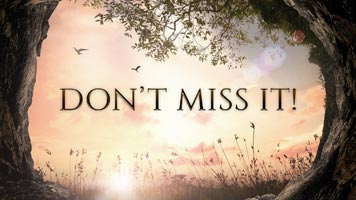 Don't Miss It!